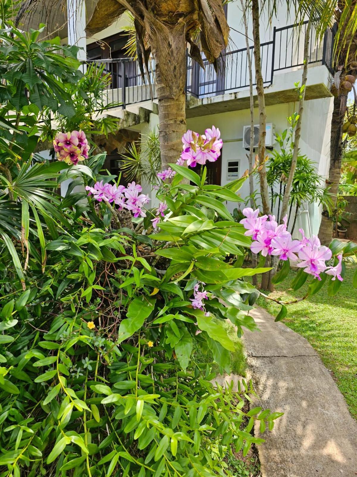 Optimum Residencies Negombo Exterior foto